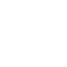 Vast Industry Experience